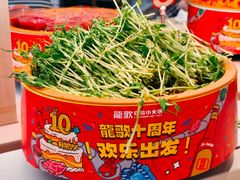 -龍歌自助小火锅(市北台东利群店)