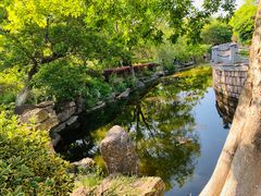 -上海佘山国家森林公园西佘山园