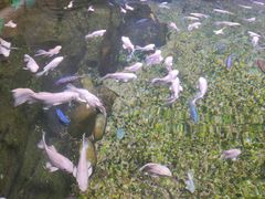 -常州海昌海洋探索馆