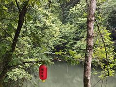-石台牯牛降景区