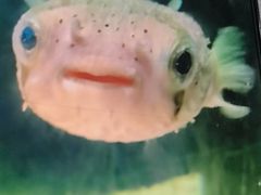 -嘉兴海底世界