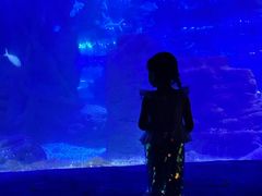 -江和美海洋公园