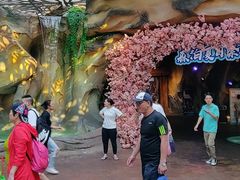 -杭州开元森泊度假乐园