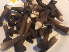 -千岛蚝高压锅生蚝·人参火锅(白云万达店)