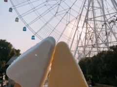 -南昌之星摩天轮