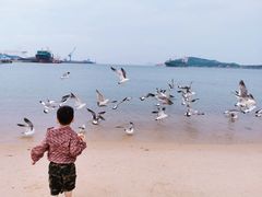 -海驴岛(荣成市)