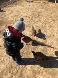 -萌宠亲子动物乐园(槐房万达店)