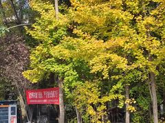 -西南交通大学(九里校区)