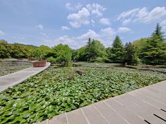 -白马涧龙池景区