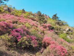 -木兰云雾山