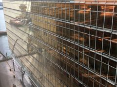 -香港皇家太平洋酒店