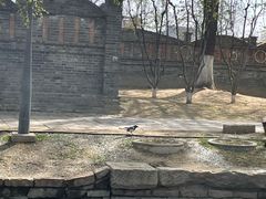 -春风习习