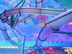 -水立方嬉水乐园