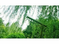 -西安国际创新人才交流中心•药浴温泉