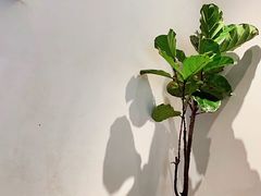 -喜茶(上海兴业太古汇店)
