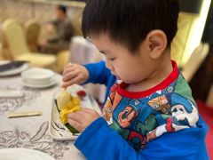-佛山顺德香云纱园林酒店(清晖园店)