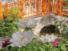 -太阳宫公园