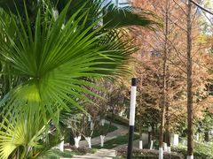 -重庆市江北嘴中央商务区中央公园