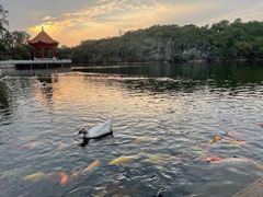 -广州莲花山旅游区