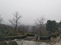 -羊山湖公园