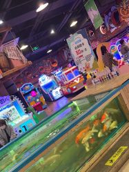 -卡通尼·Safari非洲探索乐园·生日会(金桥国际商业广场店)