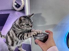 -极木²邸 人与宠物·互动社区