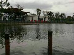 -上海长兴岛郊野公园