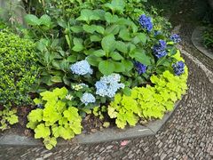 -Onitsuka Tiger(上海久光百货店)