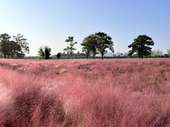 -汉长安城未央宫国家考古遗址公园