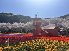 -苏州上方山国家森林公园