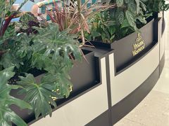 -松雷商业(南岗店)