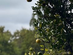 -抚仙湖万达文华酒店