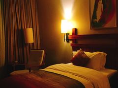 -雅安楠水阁温泉酒店