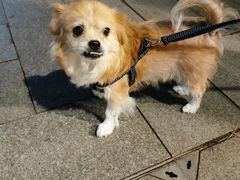 -甜甜屋(解放中路店)
