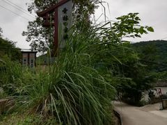 -青林口古镇