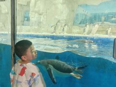 -华夏文旅西安度假区