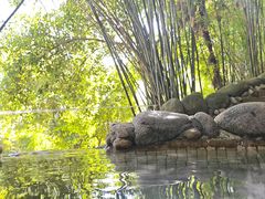 -三江森林温泉度假区