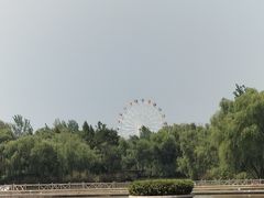 -西安浐灞国家湿地公园