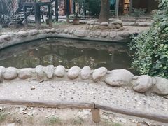 -林间山庄