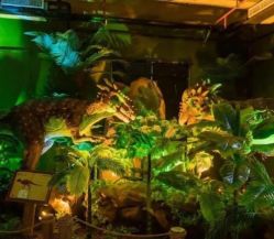 点击看大图 -恐龙探索乐园(磁器口店)