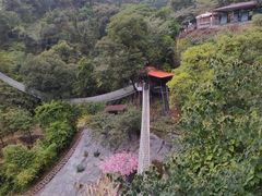 -南丹山森林王国