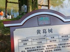 -望江饭店(13年精品店)