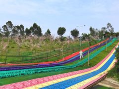 -田园寨农园观光园