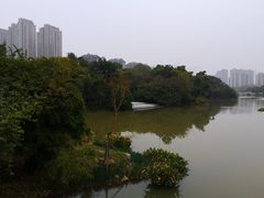 -金山公园
