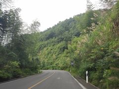 -大围山国家森林公园