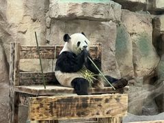-无锡动物园·太湖欢乐园