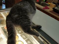 -B.O.M波姆烘焙(凤凰街店)