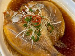 清蒸红星斑-华盛丰温州大排档(东三环南路店)