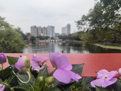 -潮喜竹溪荔湖酒家(荔枝湾店)