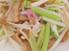 小炒菊花心-姚林轩